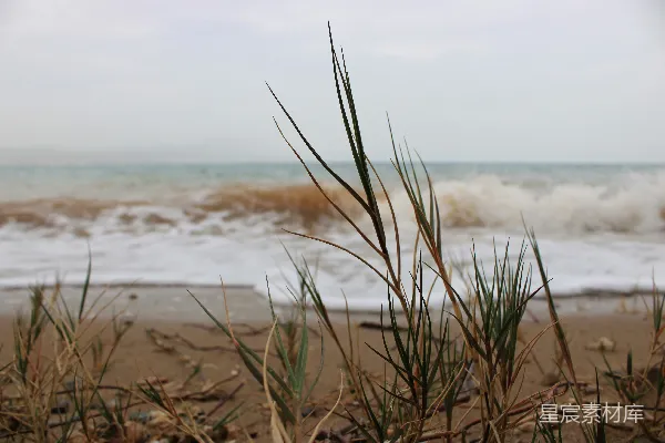高清摄影 从海滩上看海景