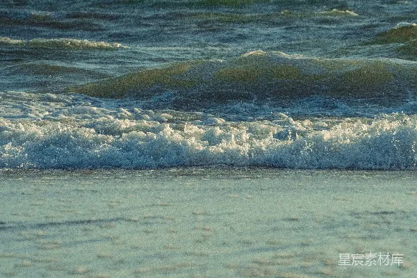 高清摄影 一只鸟站在海滩上，旁边是海洋。