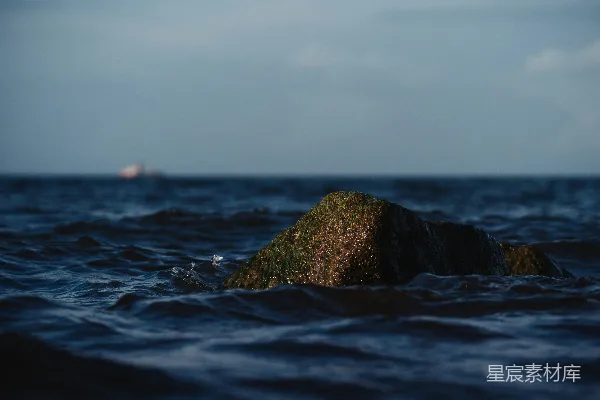 高清摄影 一块长满青苔的岩石从黑暗的海浪中浮现出来。