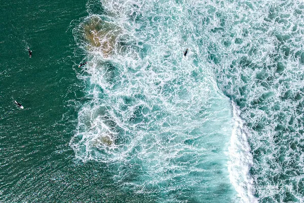 高清摄影 在碧绿的海洋上，冲浪者们在等待海浪。