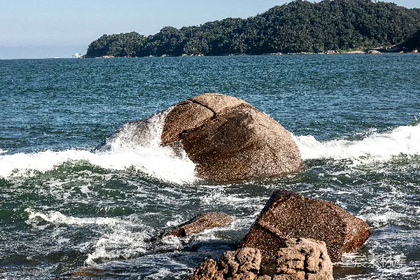 高清摄影 海浪拍打着森林中的大岩石。