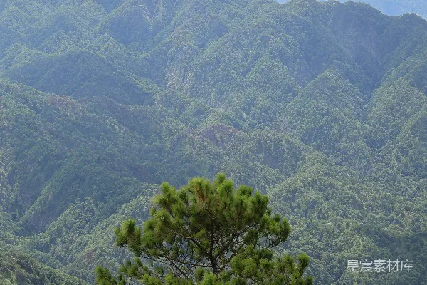 高清摄影 一座山峰中央的一棵孤树