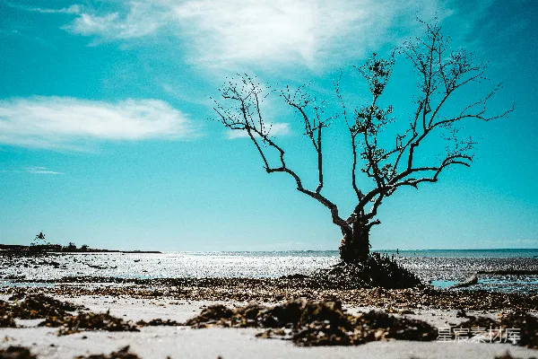 高清摄影 一群人在海滩上
