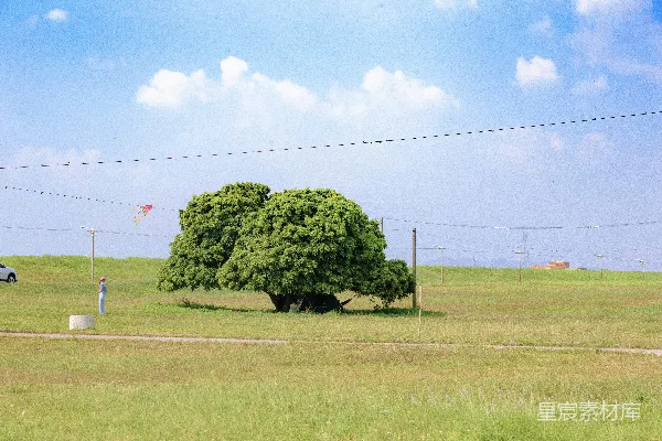 高清摄影 一个人站在树旁边