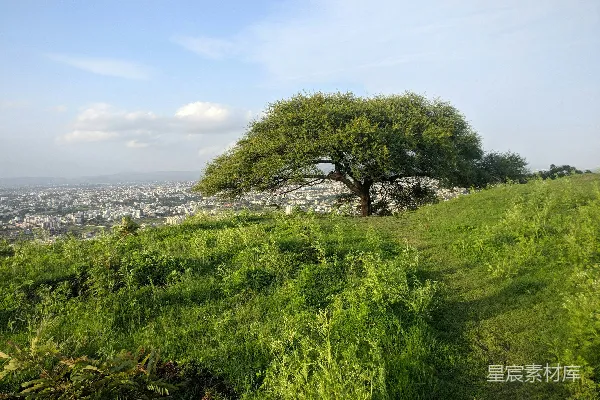 高清摄影 白天水边的绿色草地
