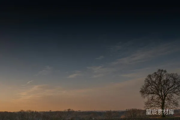 高清摄影 夕阳下田野中的一棵孤树