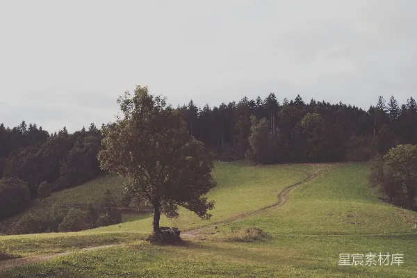 高清摄影 绿色草地