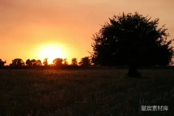 高清摄影 夕阳正沉落在一片草地上。