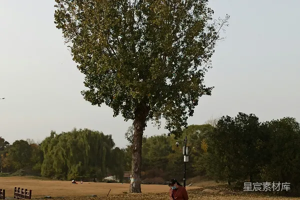 高清摄影 穿着棕色夹克的男人站在白天的绿树旁。