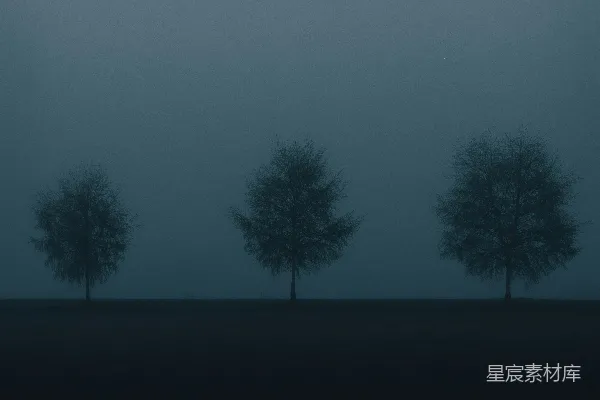 高清摄影 夜晚树木的剪影