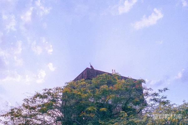 高清摄影 一座高大的建筑物坐落在郁郁葱葱的绿色森林之上