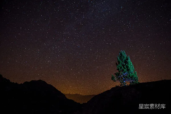 高清摄影 山顶上的树在星空下