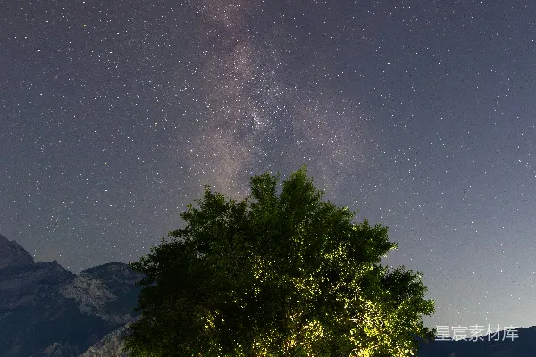 高清摄影 一片田野中的一棵树，在满是星星的夜空中。