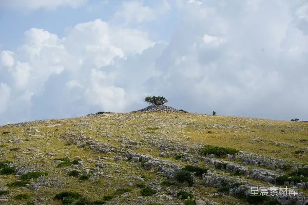 高清摄影 一座山顶上有一棵树的山