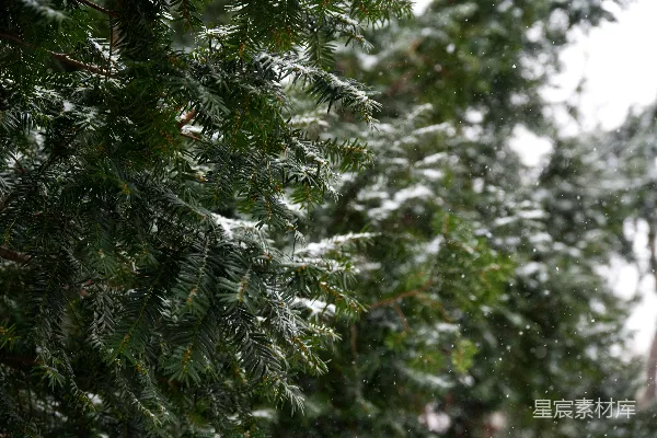 高清摄影 在雨天，一个街道标志被积雪覆盖。