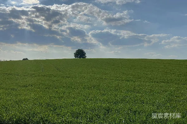 高清摄影 白天，白云下的绿色草地和蓝天。