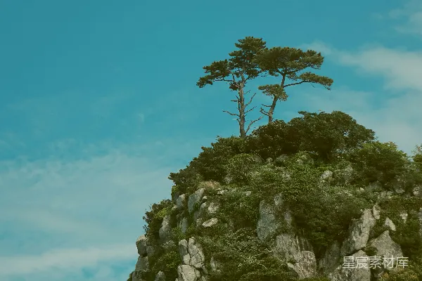高清摄影 山顶上的一棵孤树