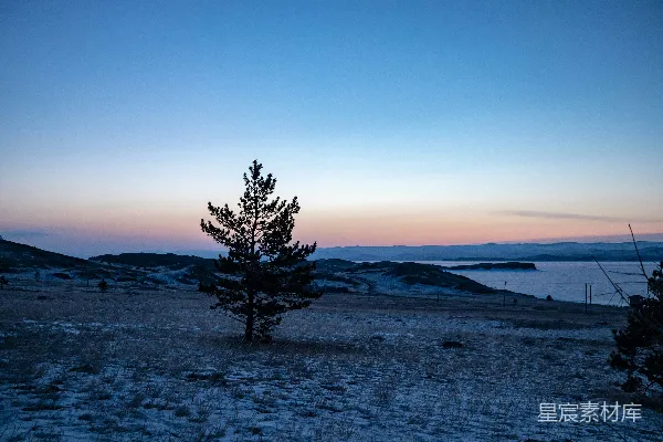 高清摄影 一棵孤独的树矗立在雪地中央。