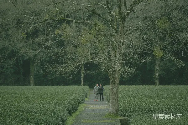 高清摄影 人们在花园的小路上散步。