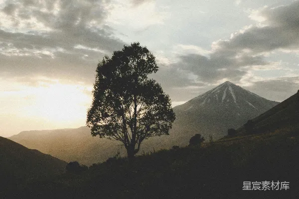 高清摄影 一座山丘上的孤树，背景中有一座山。