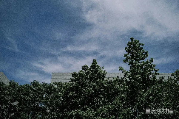 高清摄影 通过一些树木看到的建筑物的景象