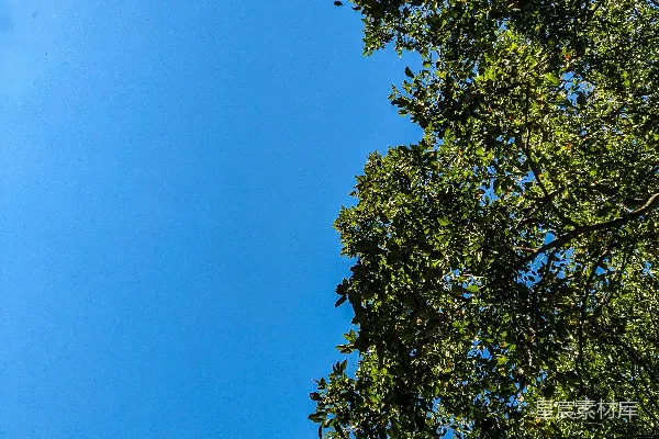 高清摄影 一座钟楼，背景是蓝天。