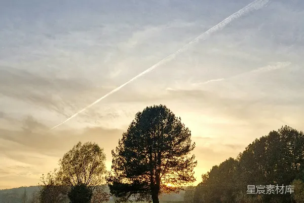 高清摄影 夕阳下，草地上的一棵孤树