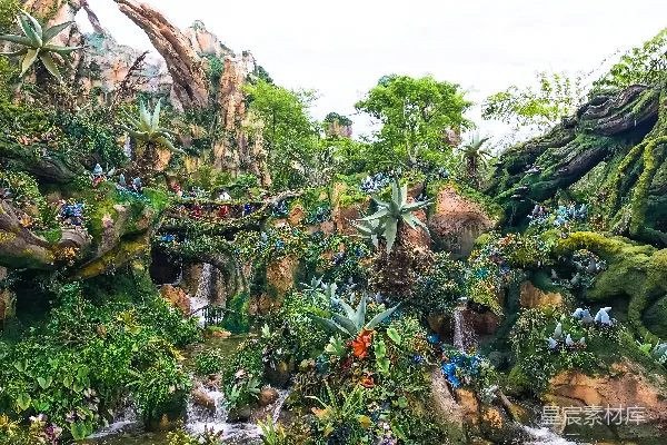 高清摄影 森林插画壁纸