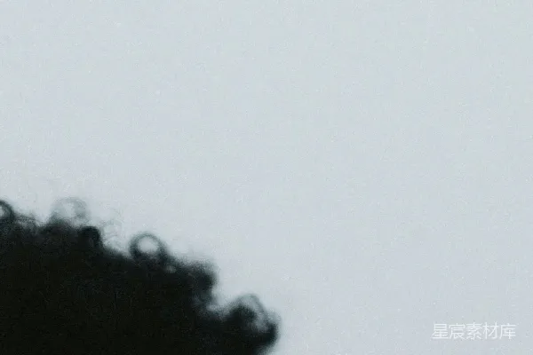 高清摄影 一张卷发者的特写照片