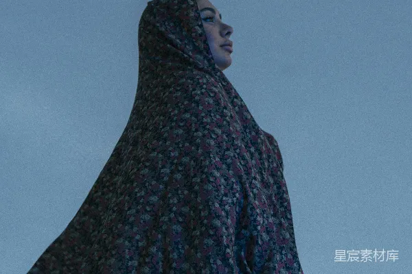 高清摄影 一位女子戴着花边面纱，背景是蓝天。