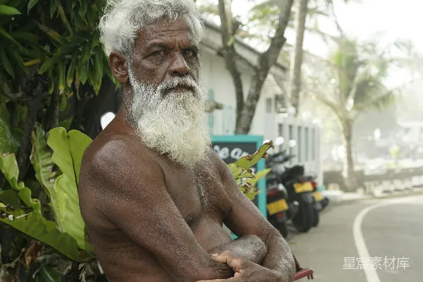 高清摄影 一个留着白色胡须和白发的男人站在一棵树旁边。