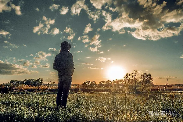 高清摄影 男人和女人在夕阳下亲吻在绿色的草地上。