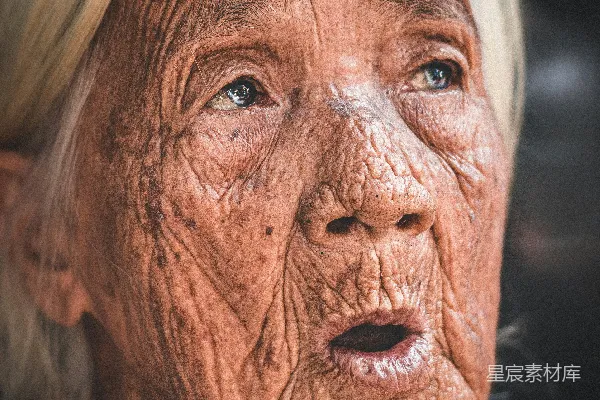 高清摄影 一只动物的特写照片