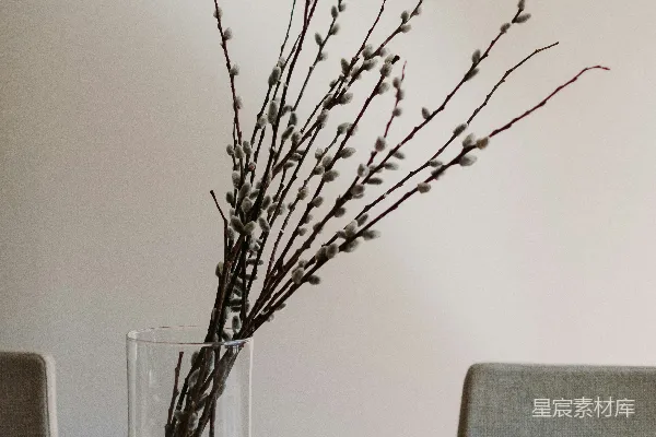 高清摄影 一个插着树枝的花瓶放在桌子上。