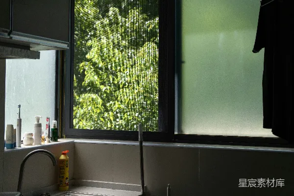 高清摄影 透过窗户可以看到厨房水槽上绿树的景象。