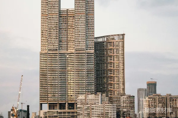 高清摄影 一座城市的天际线，前景中有很多高楼大厦。