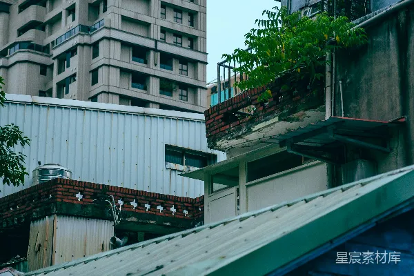 高清摄影 城市屋顶，建筑物和绿植在天空下。