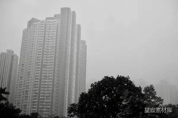 高清摄影 雾气笼罩下的高楼大厦，前景中有树木。