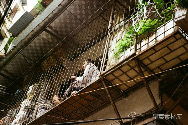 高清摄影 坐在阳台上的植物旁的人。