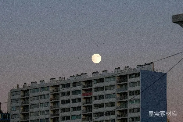 高清摄影 一轮满月悬挂在高大的公寓楼之上。