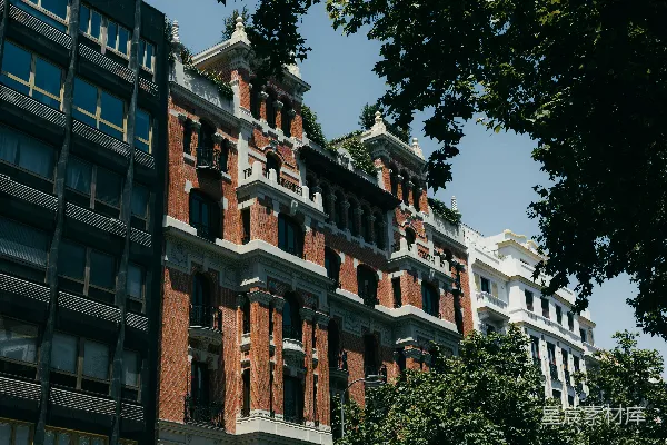 高清摄影 一排多样化的建筑在晴朗的天空下，绿树成荫。