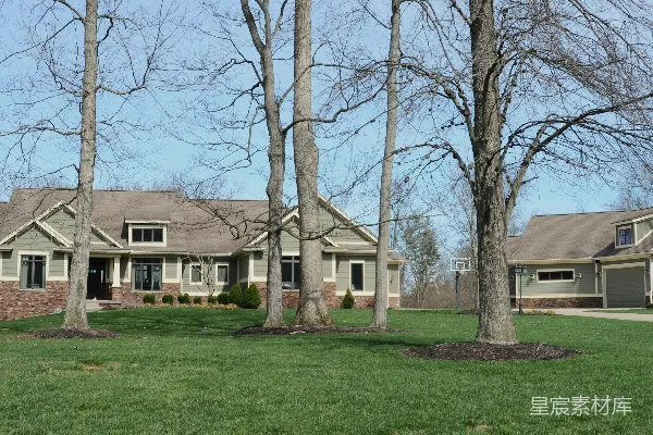 高清摄影 两座房屋嵌在草地上光秃秃的树木之间。