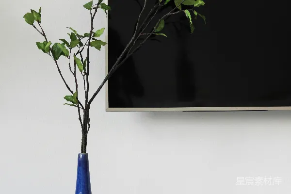 高清摄影 一个蓝色的花瓶，上面有一根绿色的树枝，放在架子上。