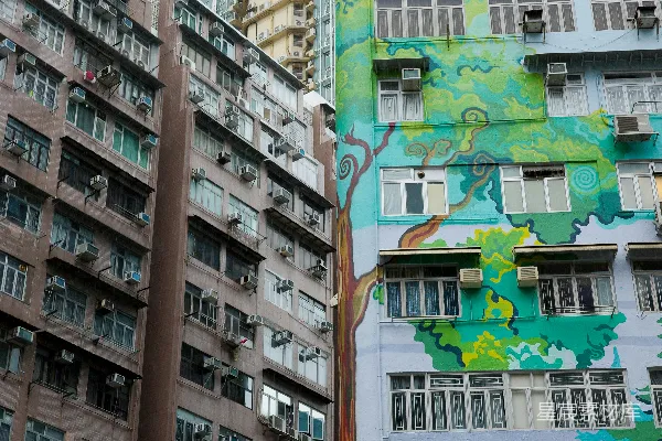 高清摄影 城市高楼上的鲜艳树木壁画。