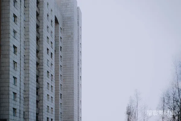高清摄影 高大的混凝土建筑，光秃秃的树木和阴沉的天空。