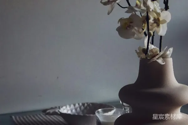 高清摄影 白色陶瓷花瓶中的白玫瑰放在桌子上。