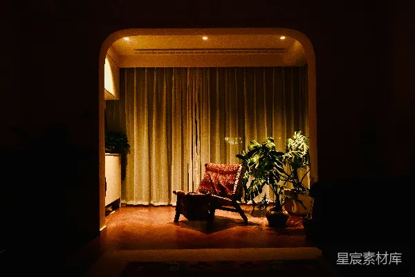 高清摄影 昏暗房间里的舒适扶手椅和植物。