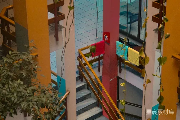 高清摄影 一座建筑物的室内景观，可以看到楼梯和植物。