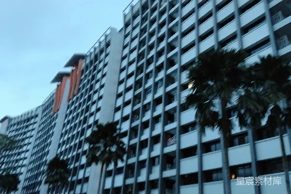 高清摄影 高楼大厦与棕榈树