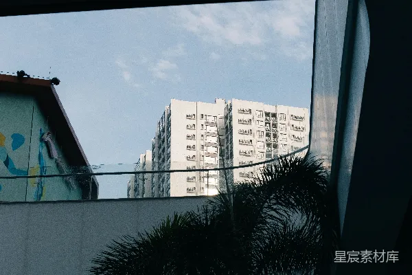 高清摄影 摩天大楼和棕榈树映衬着明亮的蓝天。